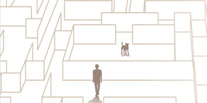 Informationslabyrinth Hundetraining